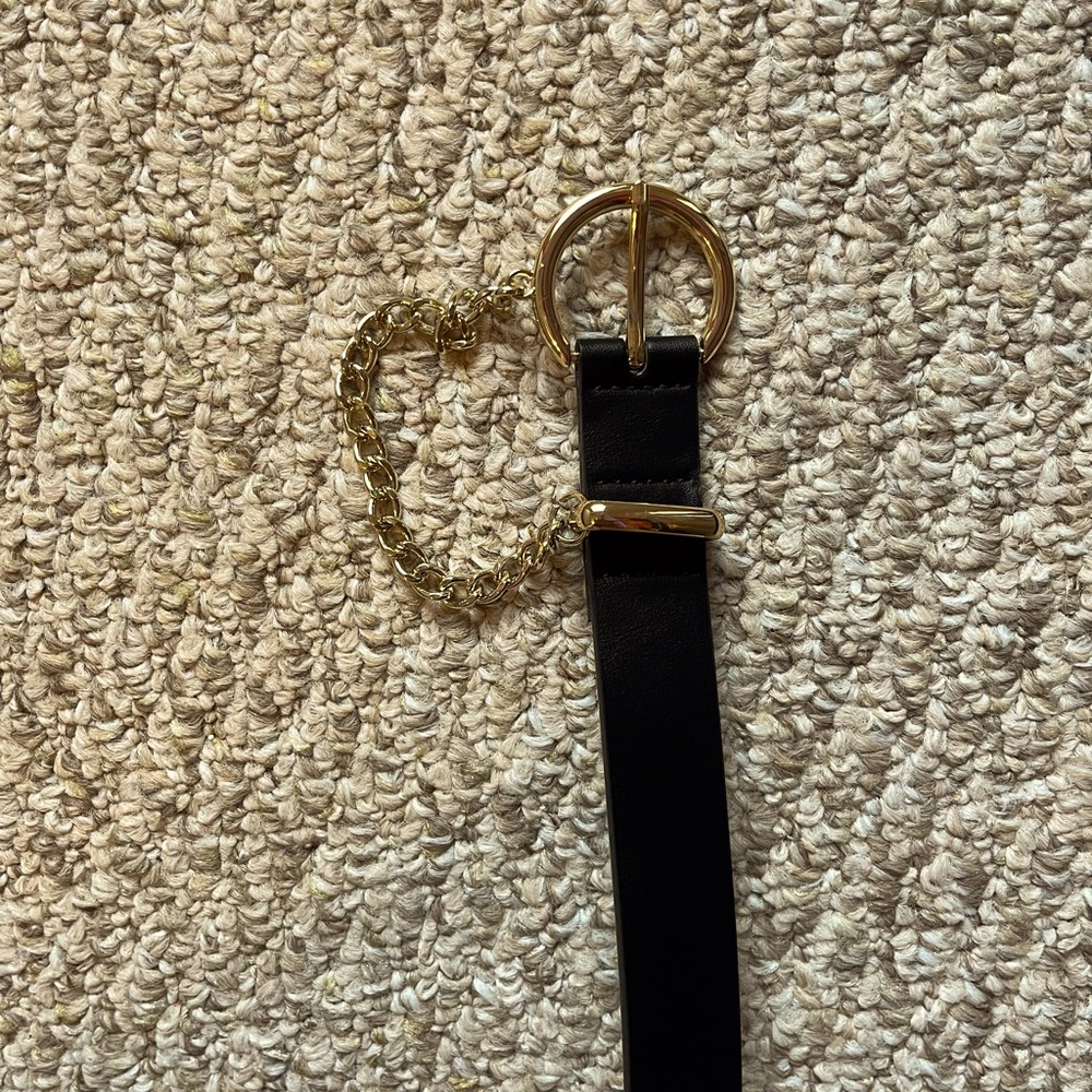Black belt with gold detail